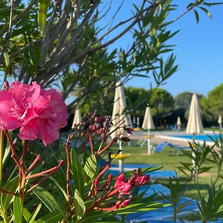 Calilla -appartamento Libeccio グラード