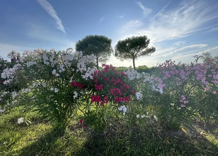 Calilla -appartamento Libeccio