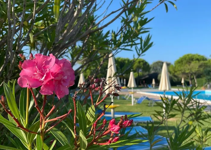 Calilla -appartamento Libeccio Grado